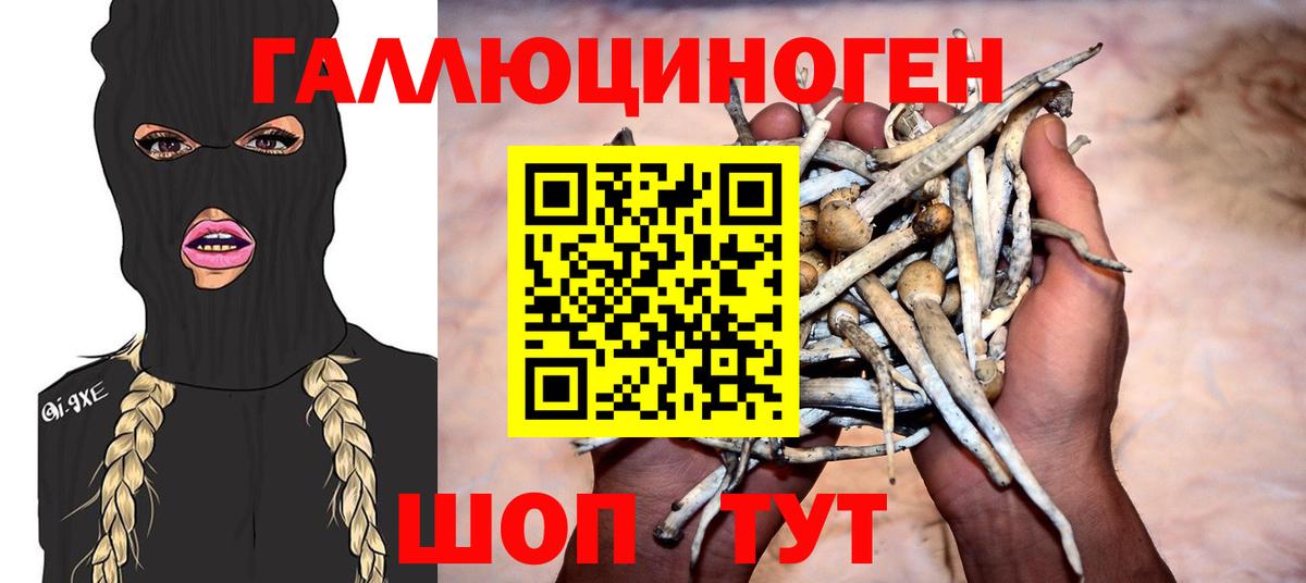 Фурманов  Псилоцибиновые грибы Magic Shrooms  Вход с VPN  Псилоцибиновые грибы GOLDEN TEACHER 